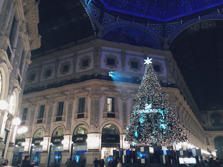 Processed with VSCOcam with c4 preset